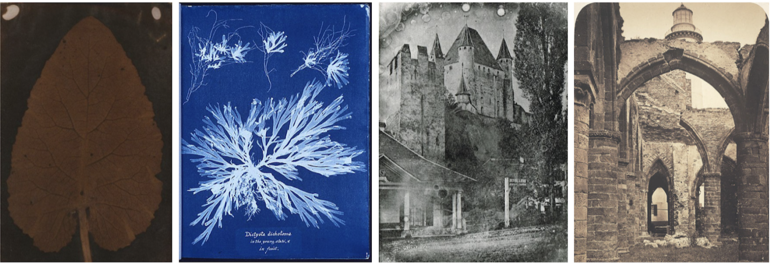 From left to right: Sarah Anne Bright’s Quillan Leaf (1839); Anna Atkins’s photogram of algae (1843); Franziska Möllinger’s daguerreotype of Thun Castle (c. 1844); Genevieve Elisabeth Disdéri’s interior of St. Mathieu (1869)