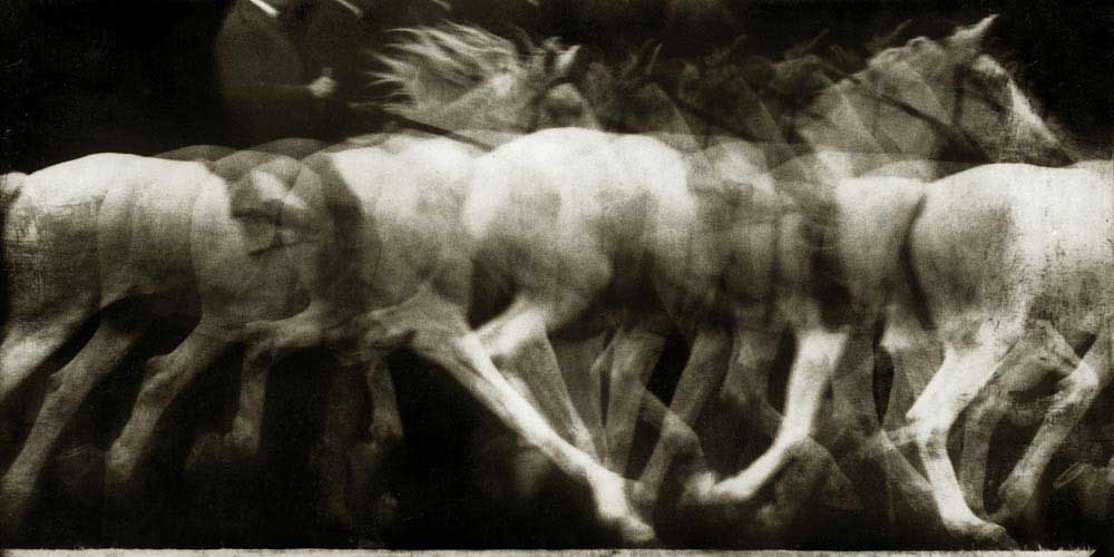 Chronophotographic study of horse motion by Marey, 1886. Because the images were all taken on the same plate, they overlap and create a 'ghosting' effect.