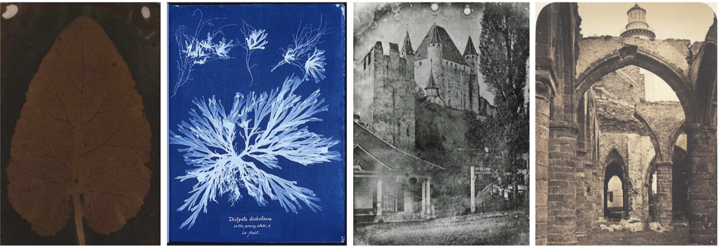 From left to right: Sarah Anne Bright's Quillan Leaf (1839); Anna Atkins's photogram of algae (1843); Franziska Mรถllinger's daguerreotype of Thun Castle (c. 1844); Genevieve Elisabeth Disdรฉri's interior of St. Mathieu (1869)